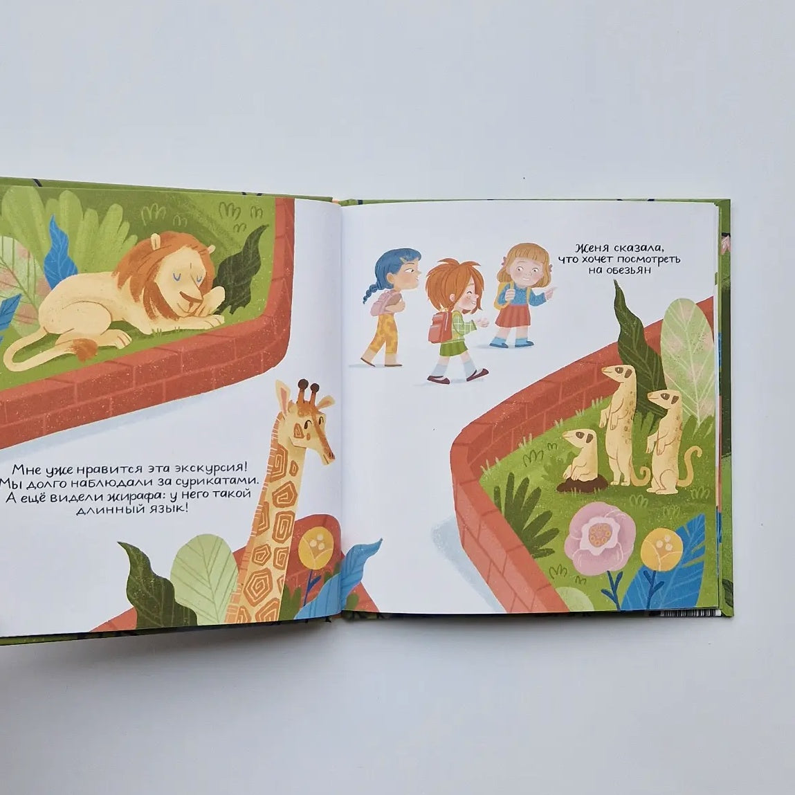 Леди Орангутан