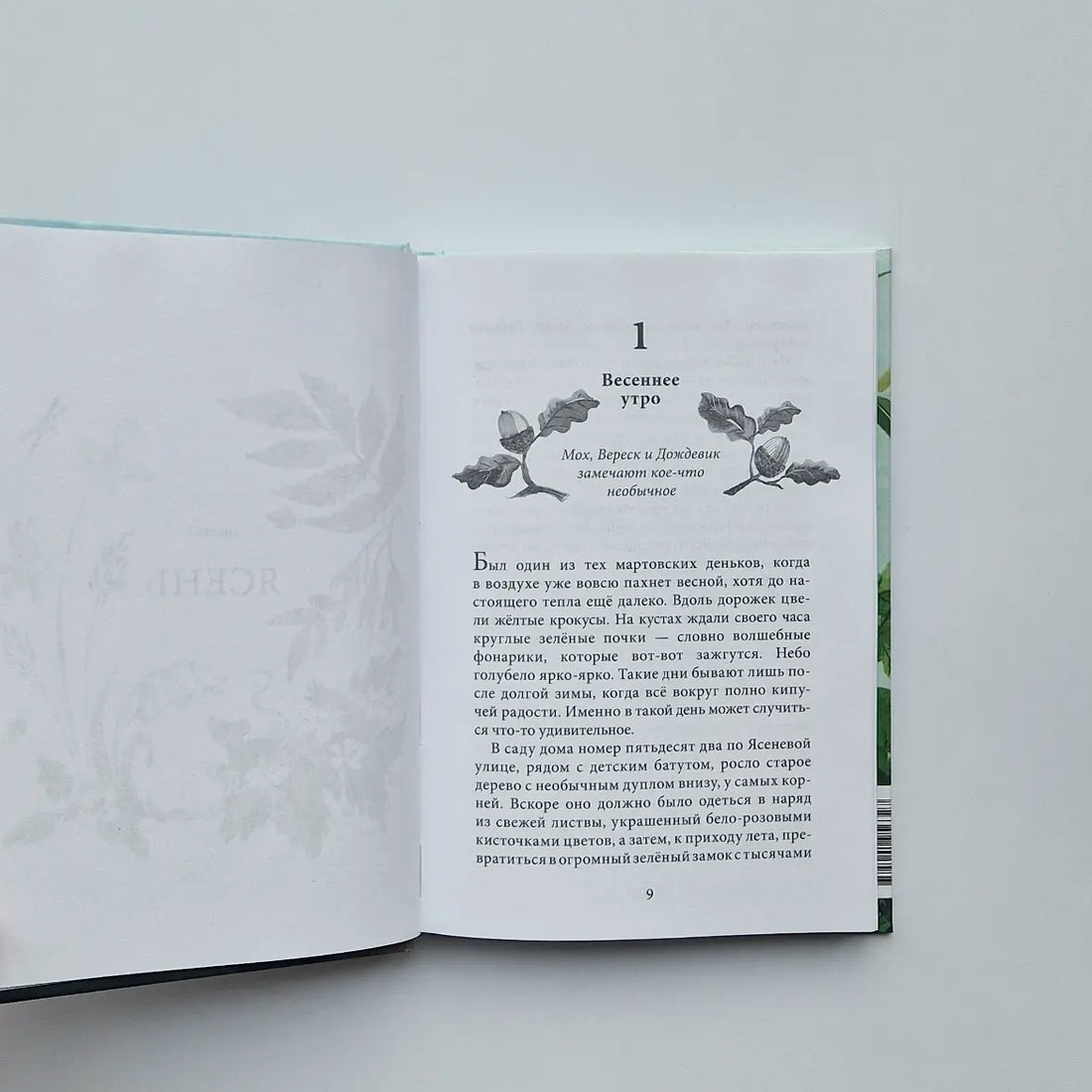 Хранители мира