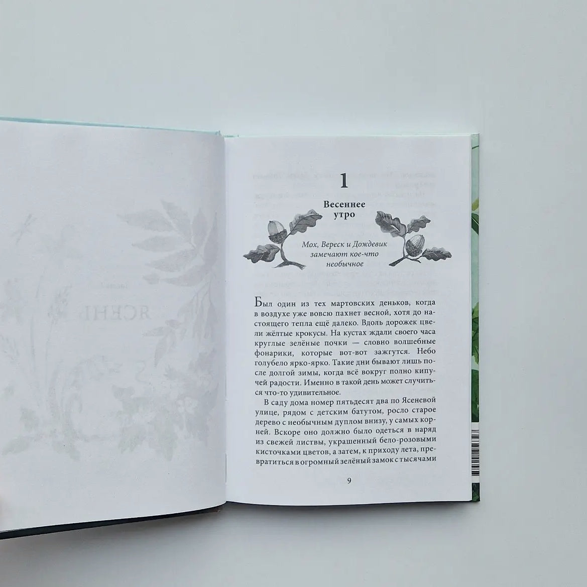 Хранители мира