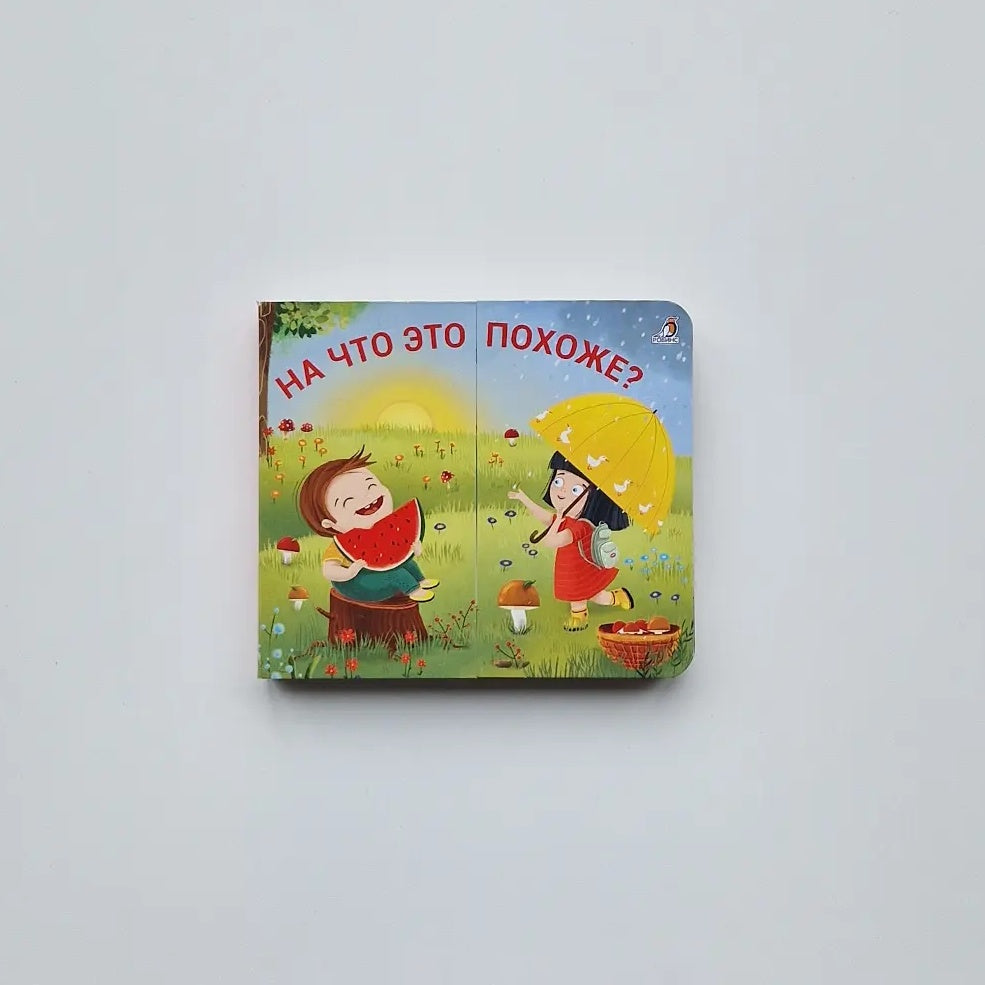 На что это похоже? Книжки-задвижки