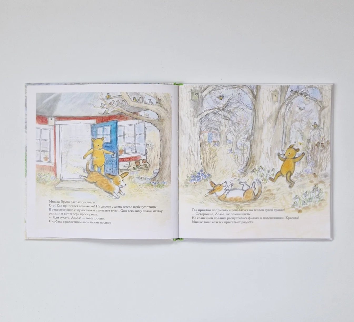 Весна мишки Бруно