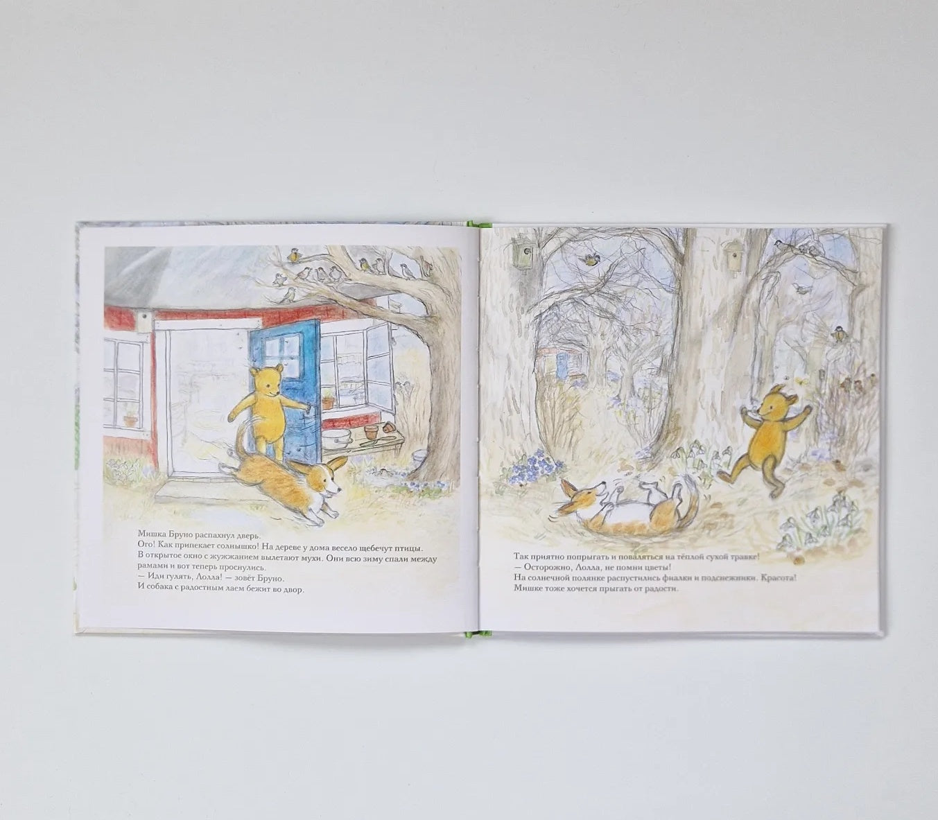 Весна мишки Бруно