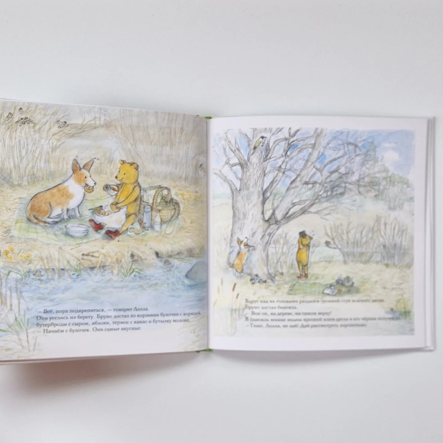 Весна мишки Бруно