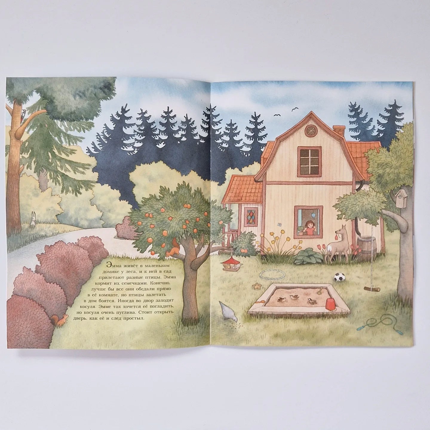 Live, little caterpillar!