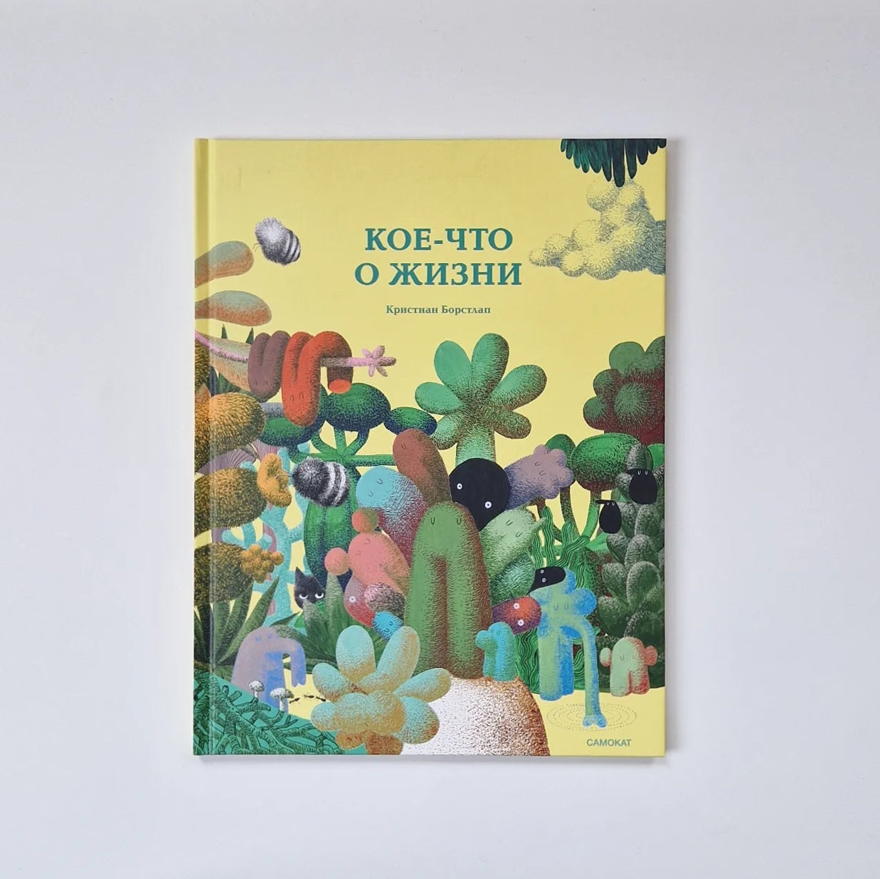 Кое-что о жизни