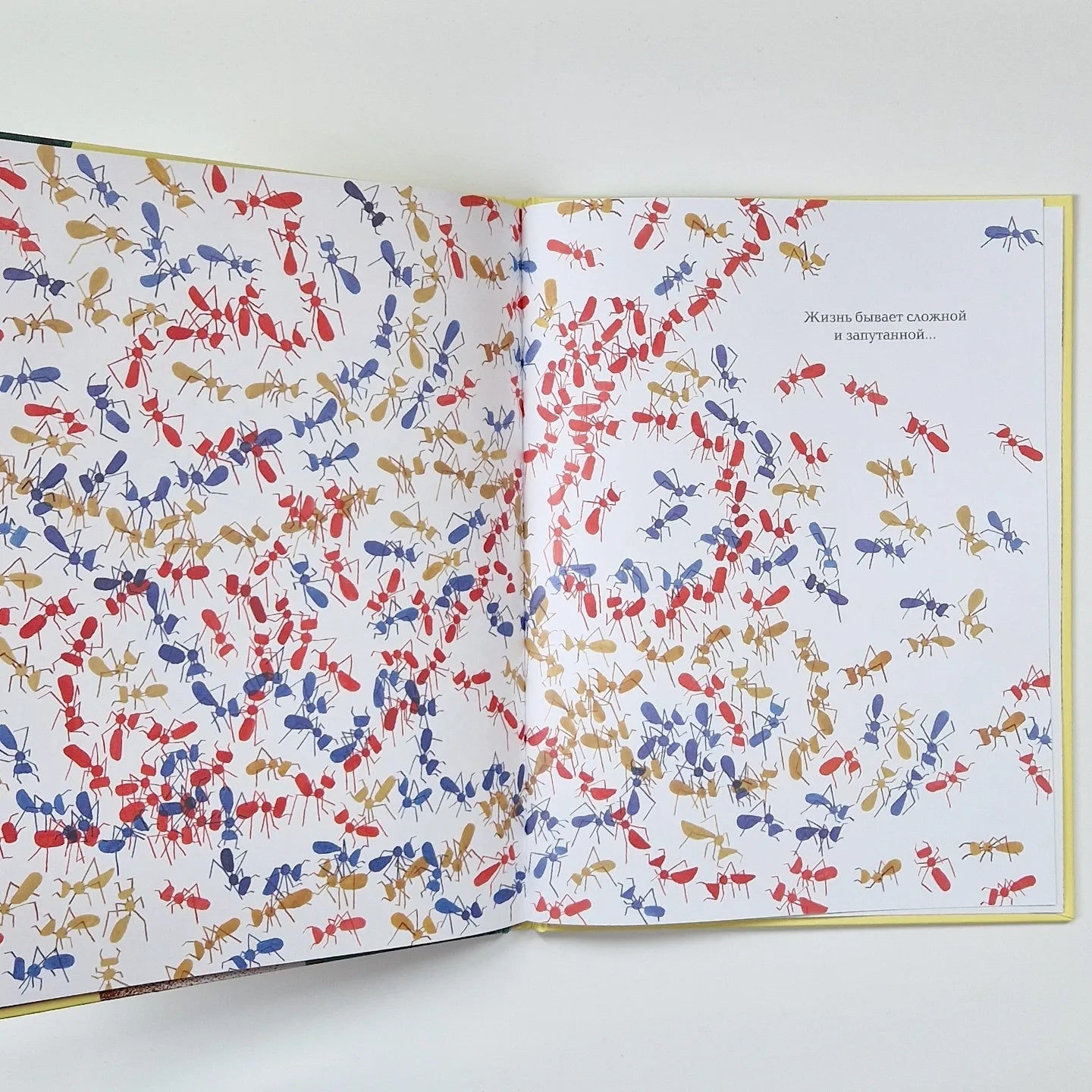 Кое-что о жизни