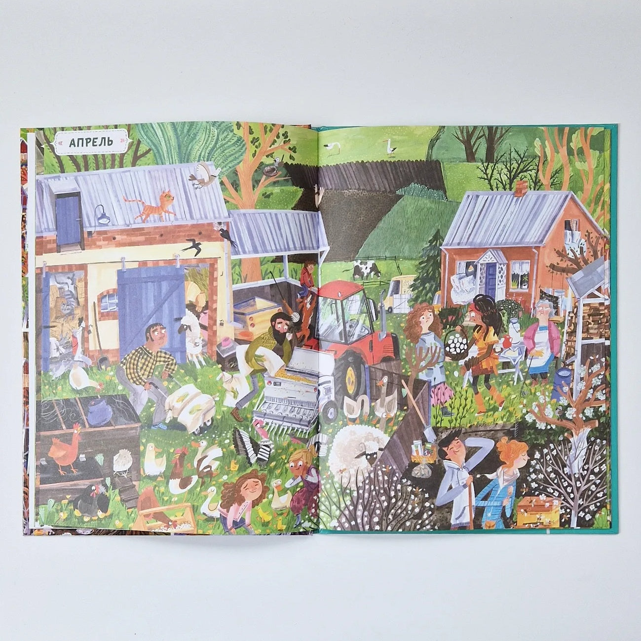 Год в деревне. Найди и покажи