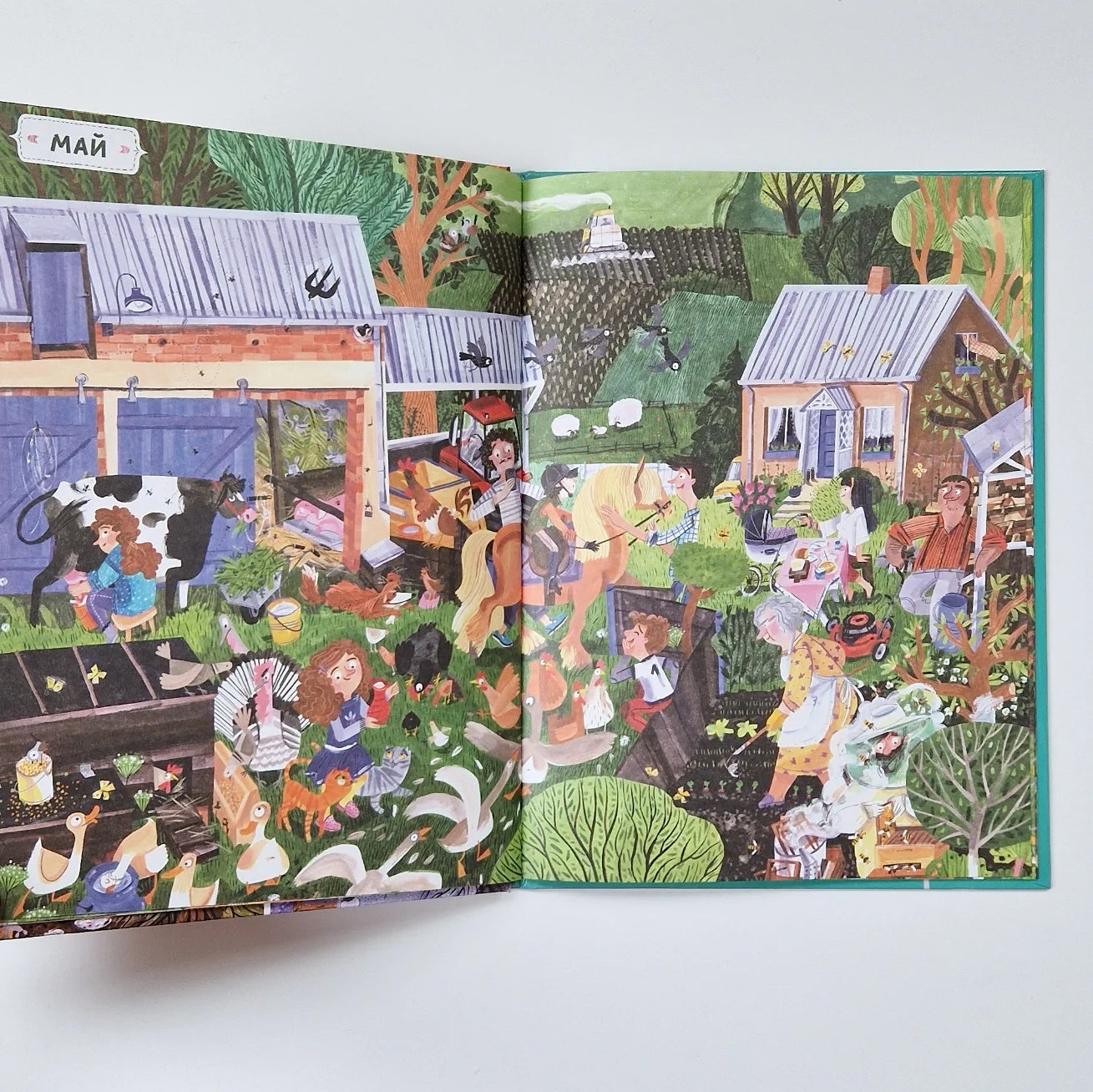 Год в деревне. Найди и покажи