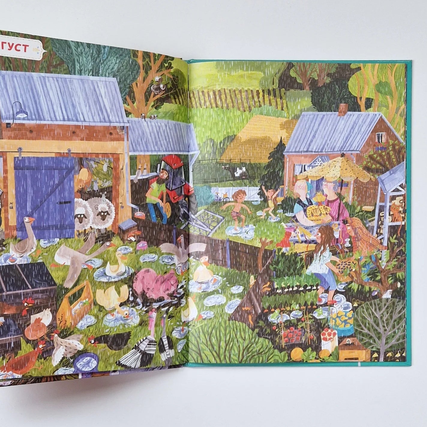 Год в деревне. Найди и покажи