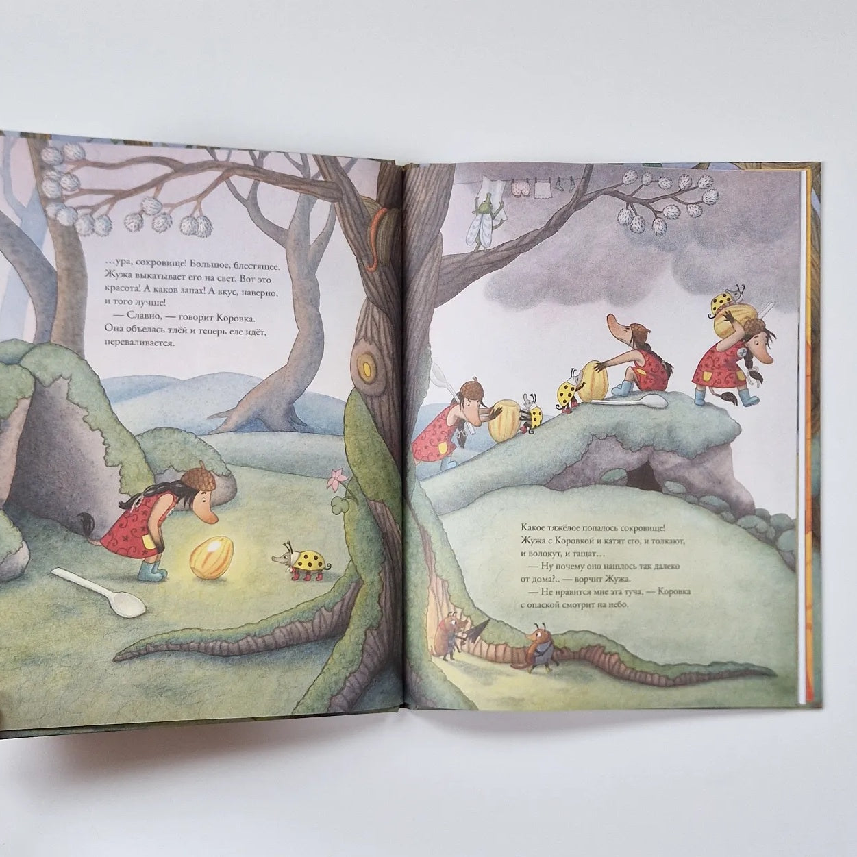 Жужино сокровище