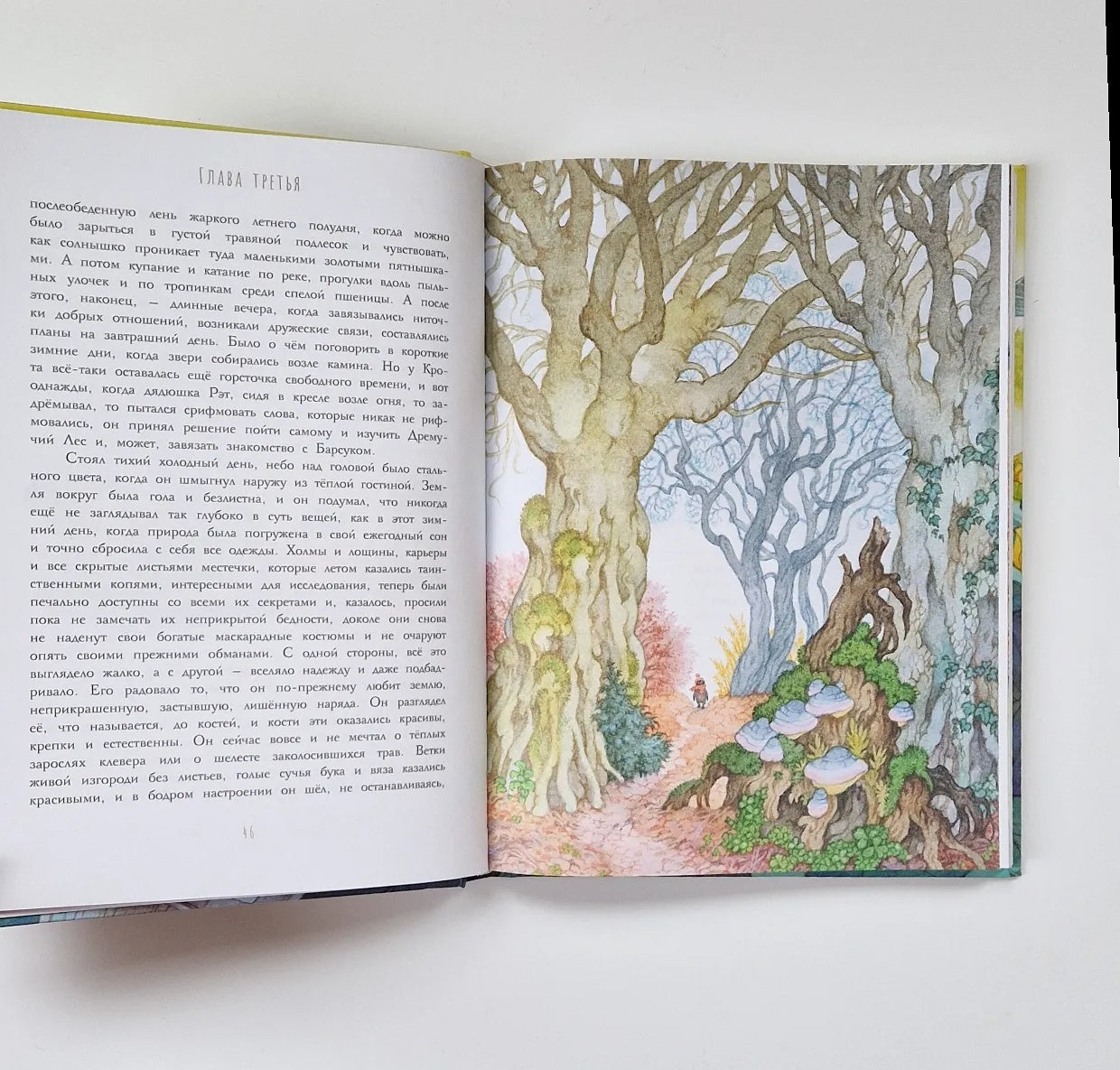 Ветер в ивах