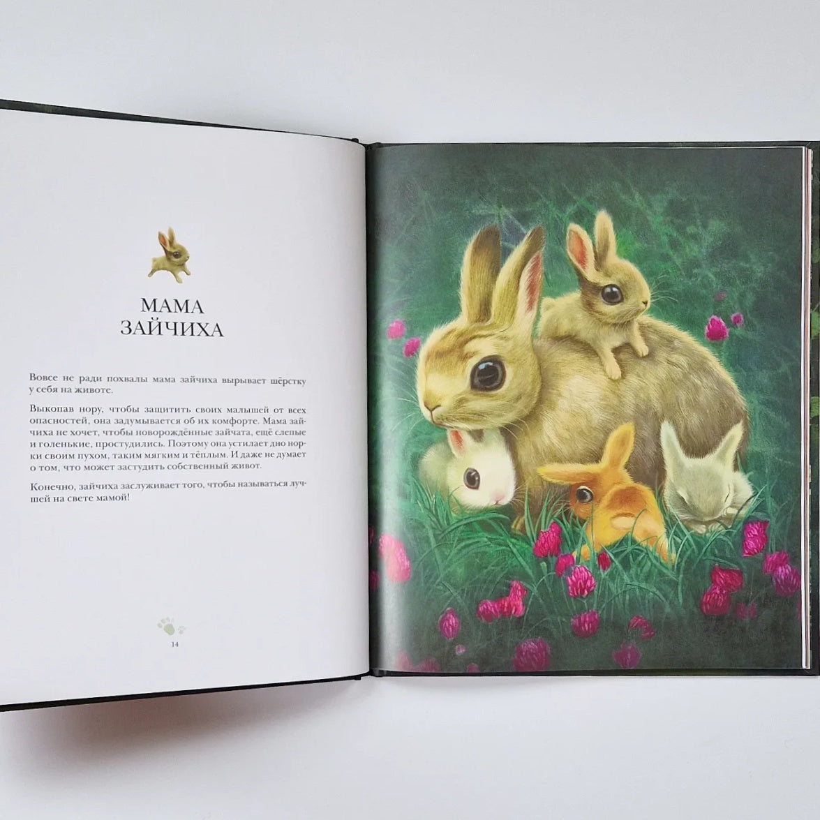 Лучшая мама на свете