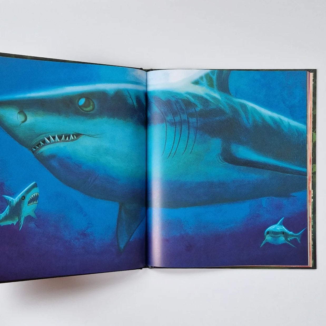 Лучшая мама на свете