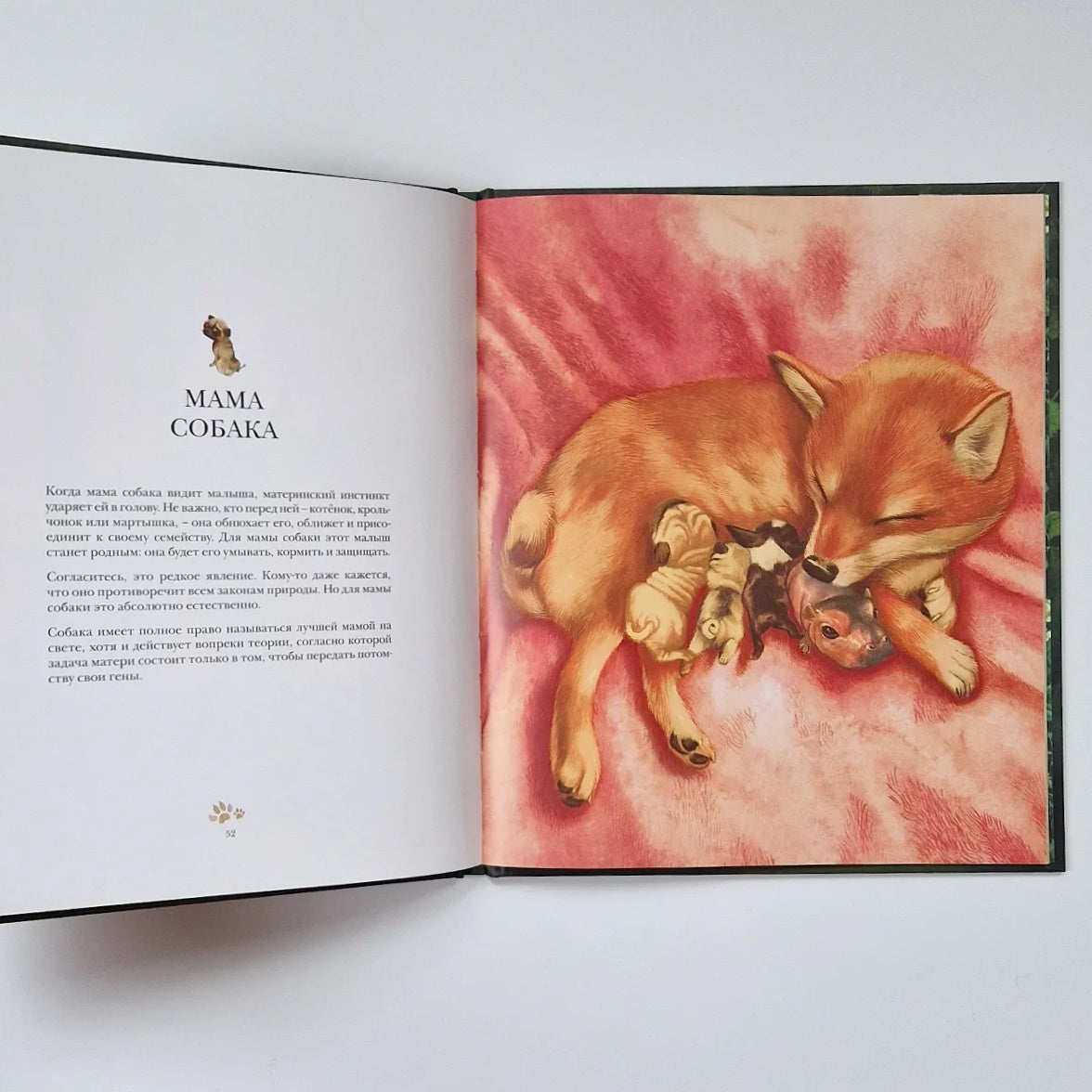 Лучшая мама на свете