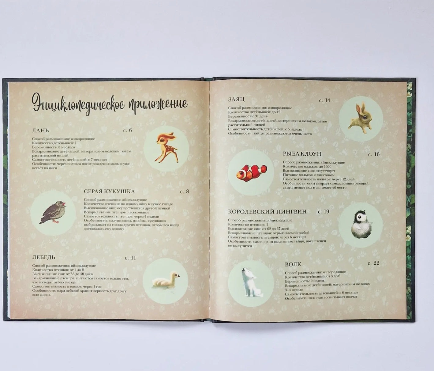 Лучшая мама на свете