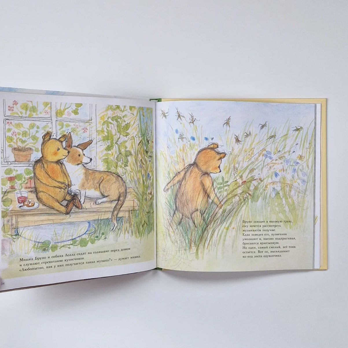 Мишка Бруно в саду