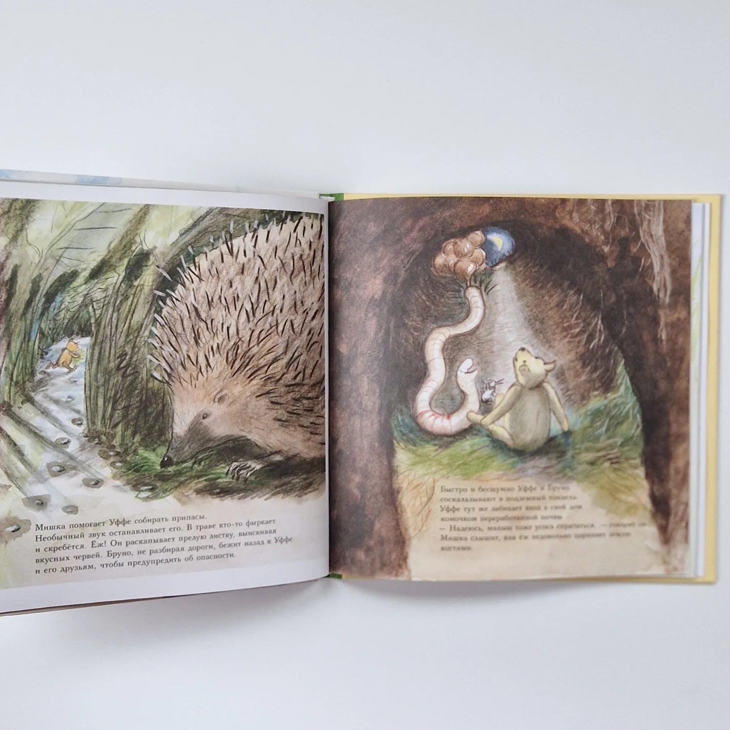 Мишка Бруно в саду