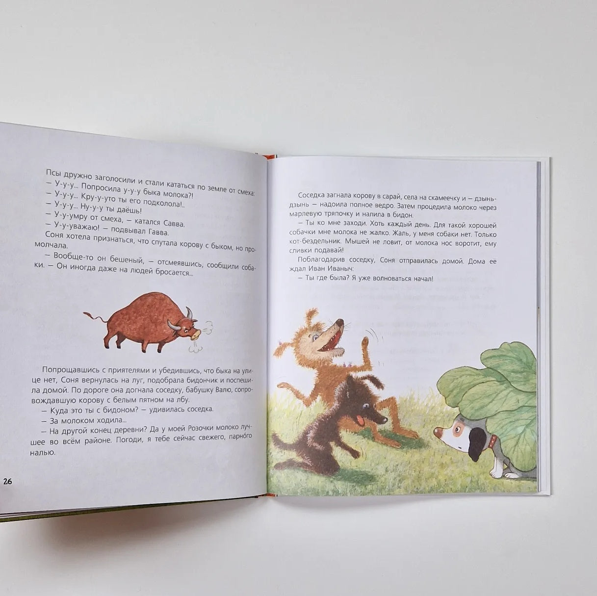 Собачка Соня на даче