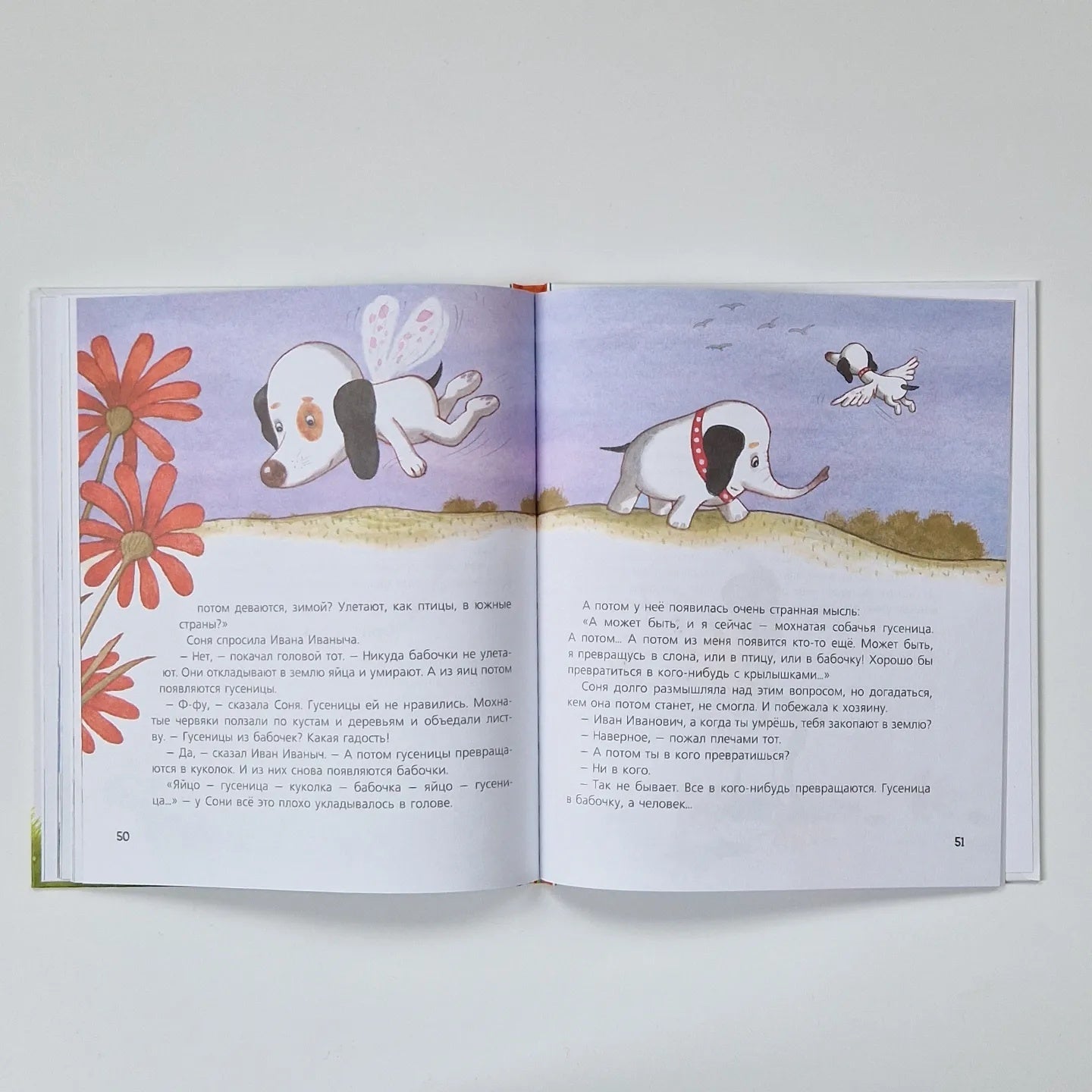 Собачка Соня на даче