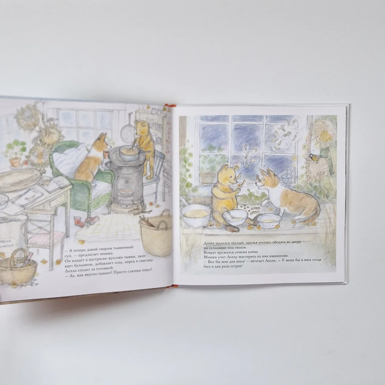 Autumn of Bruno the Bear