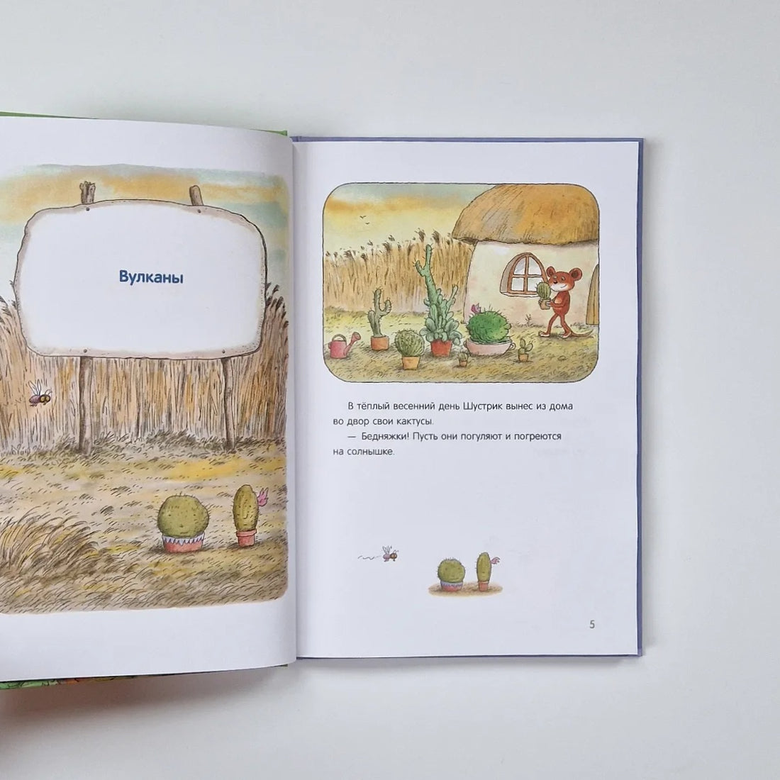 New adventures of Shustrik and Tishka