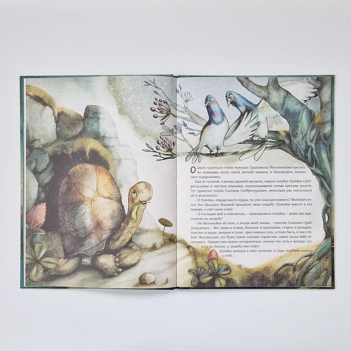 Транквилла Неуклюжевна, или Сказка о черепахе, которая приняла твёрдое решение