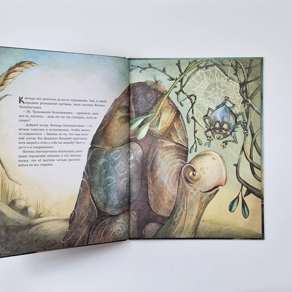 Транквилла Неуклюжевна, или Сказка о черепахе, которая приняла твёрдое решение