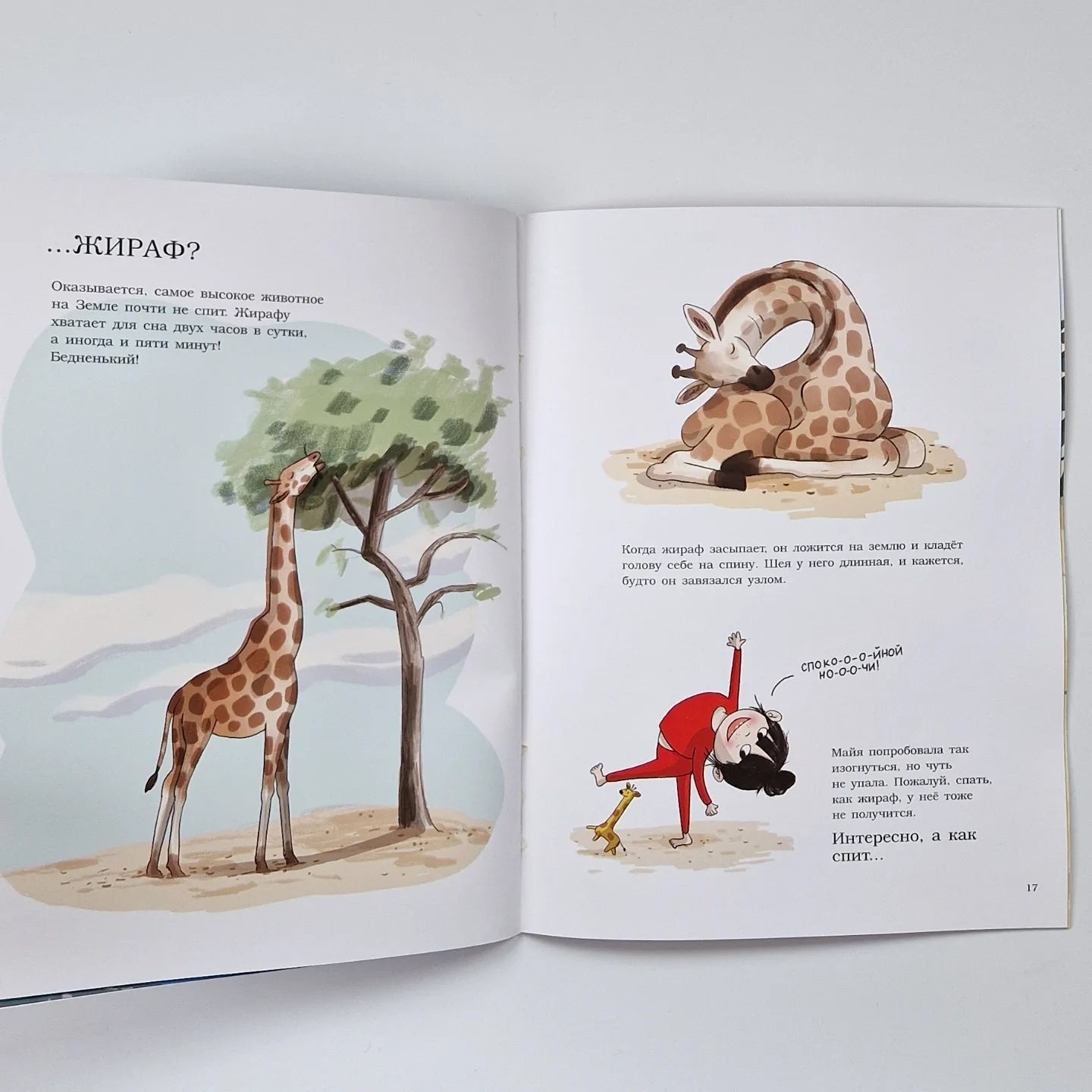 Спать, как акула