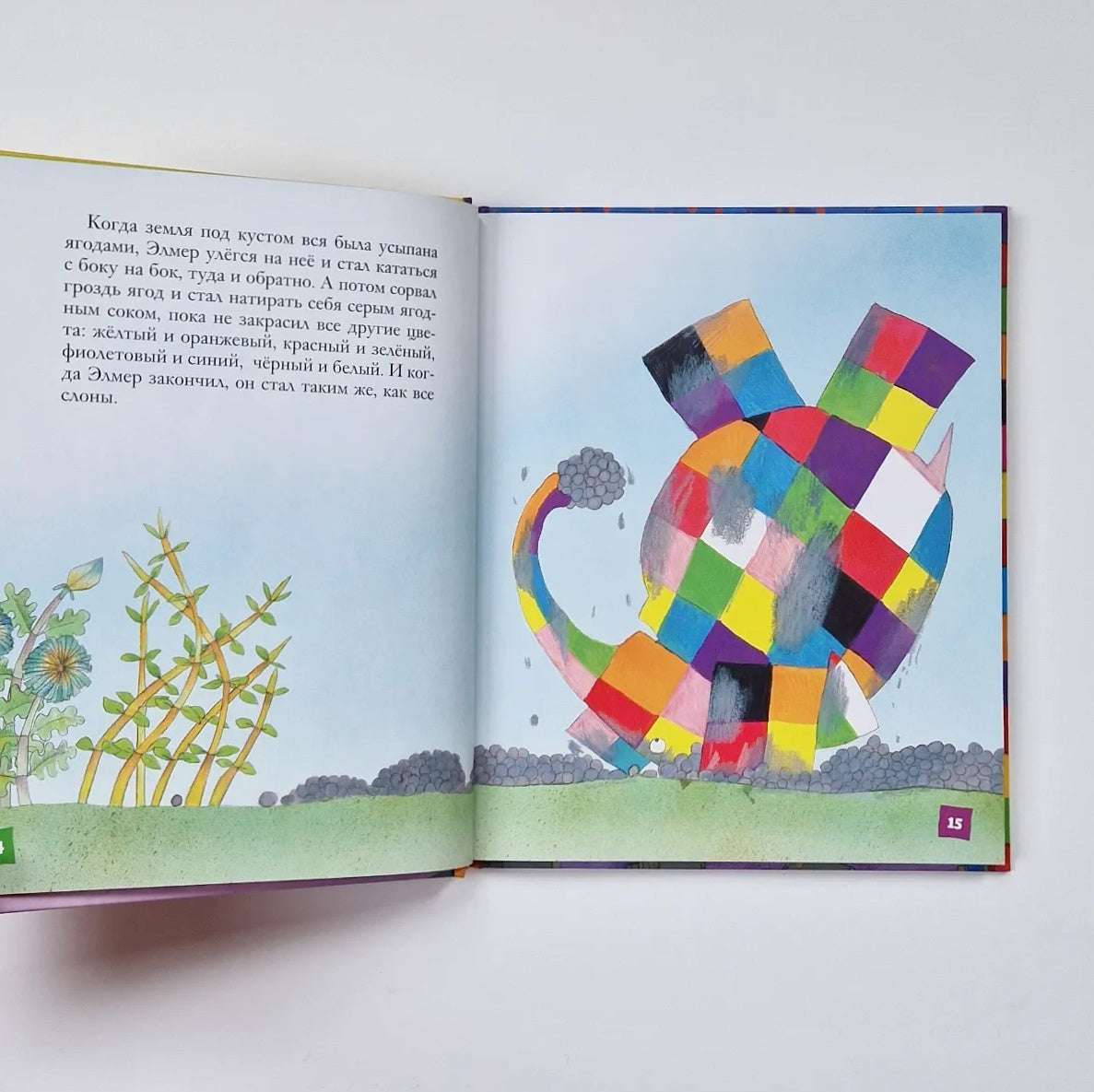 The most unusual elephant 