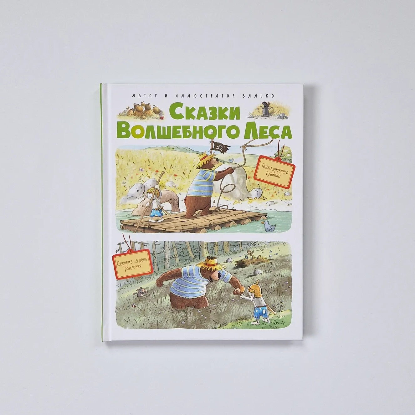 Сказки Волшебного леса: Тайна древнего рудника, Сюрприз на день рождения