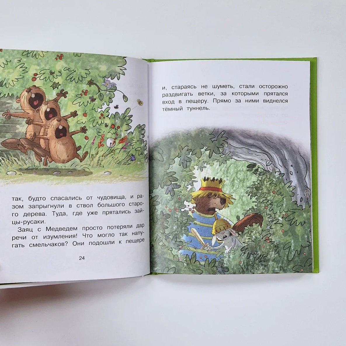 Сказки Волшебного леса: Тайна древнего рудника, Сюрприз на день рождения