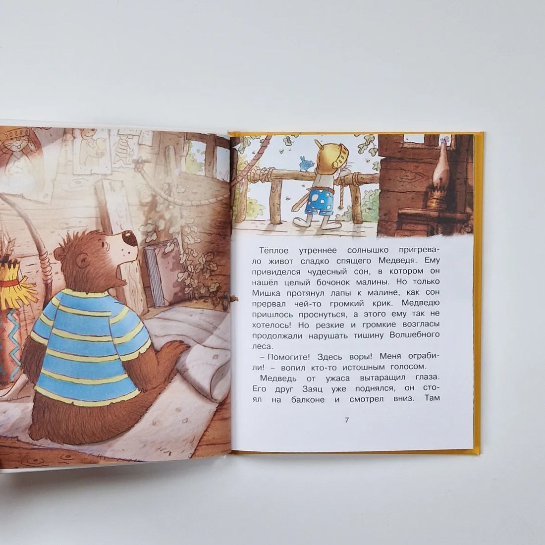 Сказки Волшебного леса: Лесной воришка, Сокровища острова Бузины