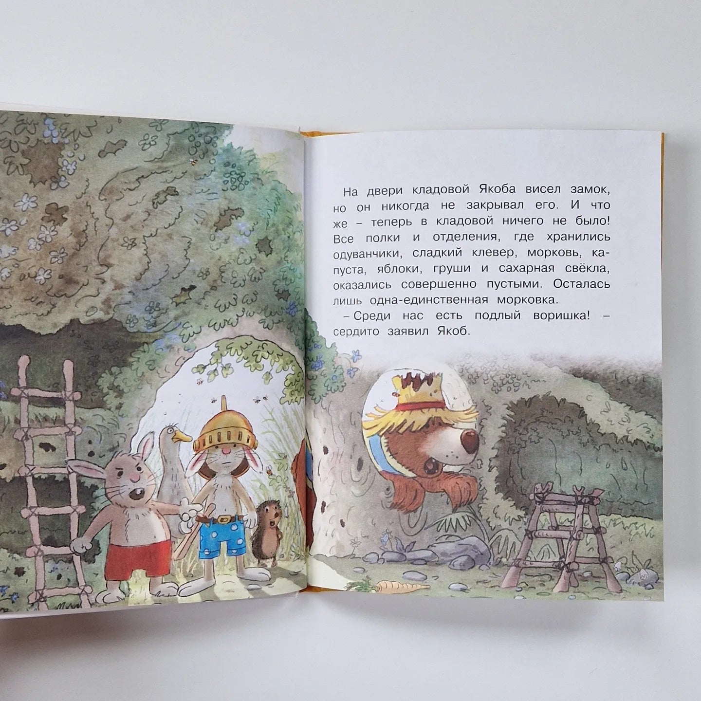 Сказки Волшебного леса: Лесной воришка, Сокровища острова Бузины