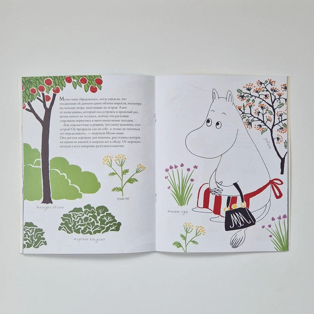 The Moomins and the Island with the Lighthouse (Paperback)