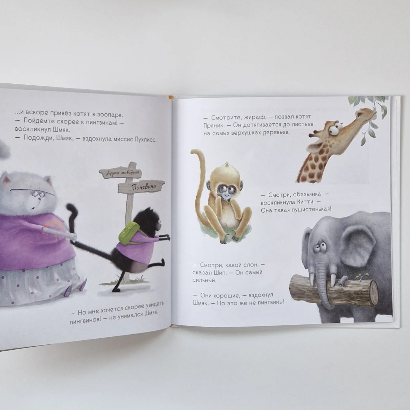 Котенок Шмяк и пингвины