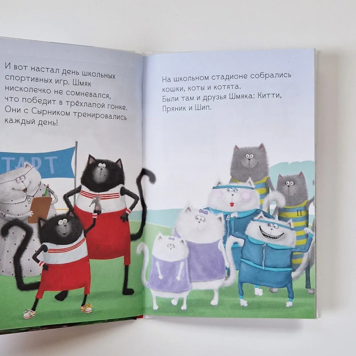 Котенок Шмяк. Как порадовать папу