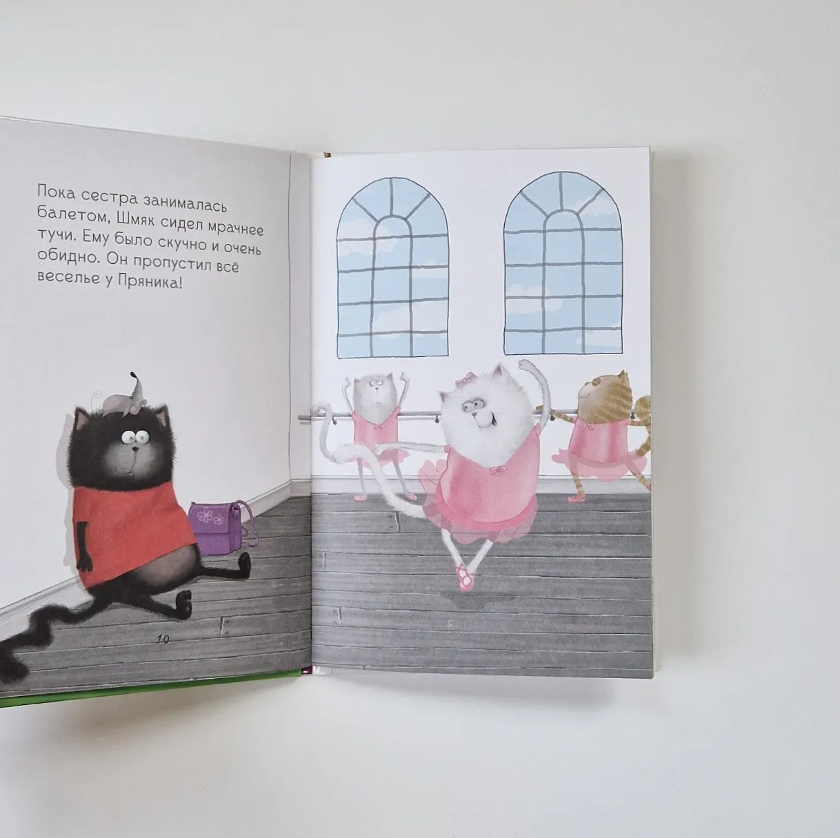 Котенок Шмяк - заботливый брат