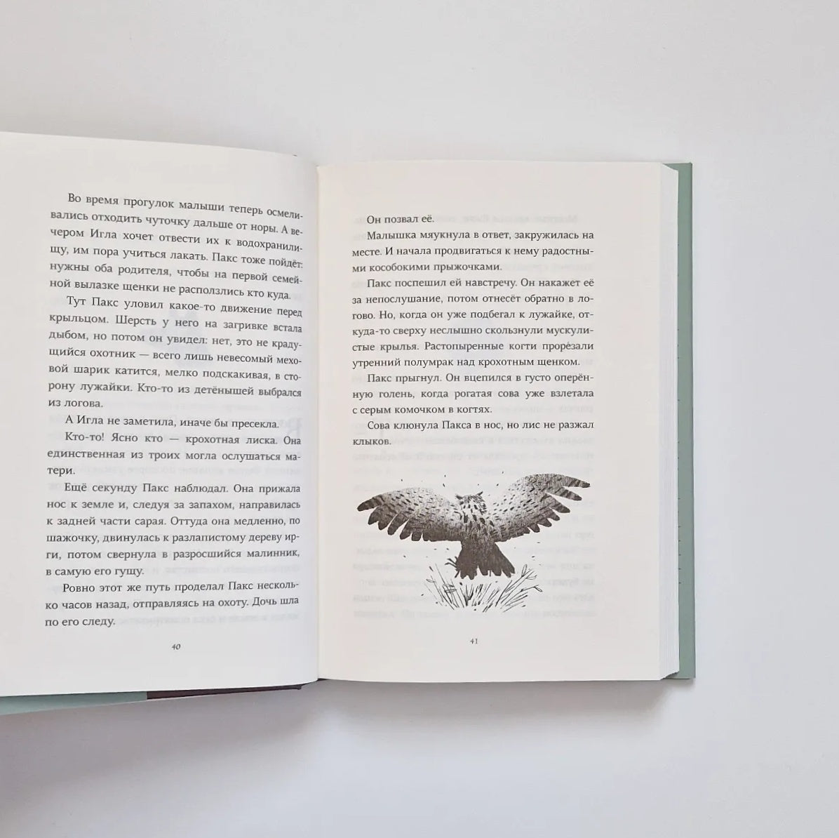 Пакс. Дорога домой