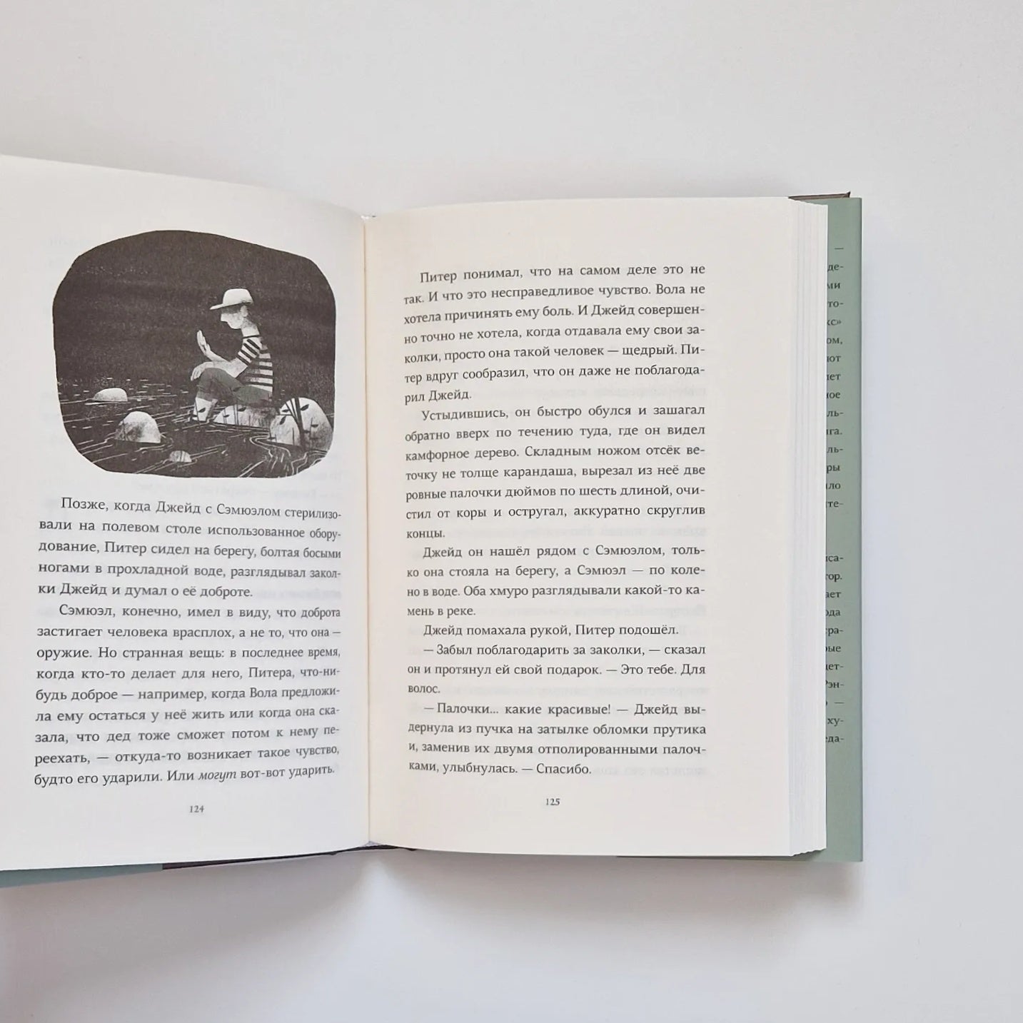 Пакс. Дорога домой