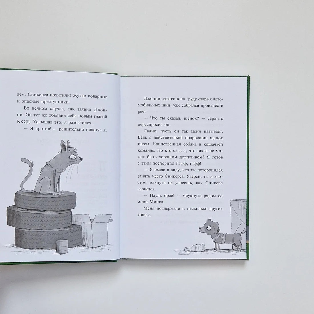 Пауль и Сникерс, детективы на четырех лапах. Плюшевая тайна