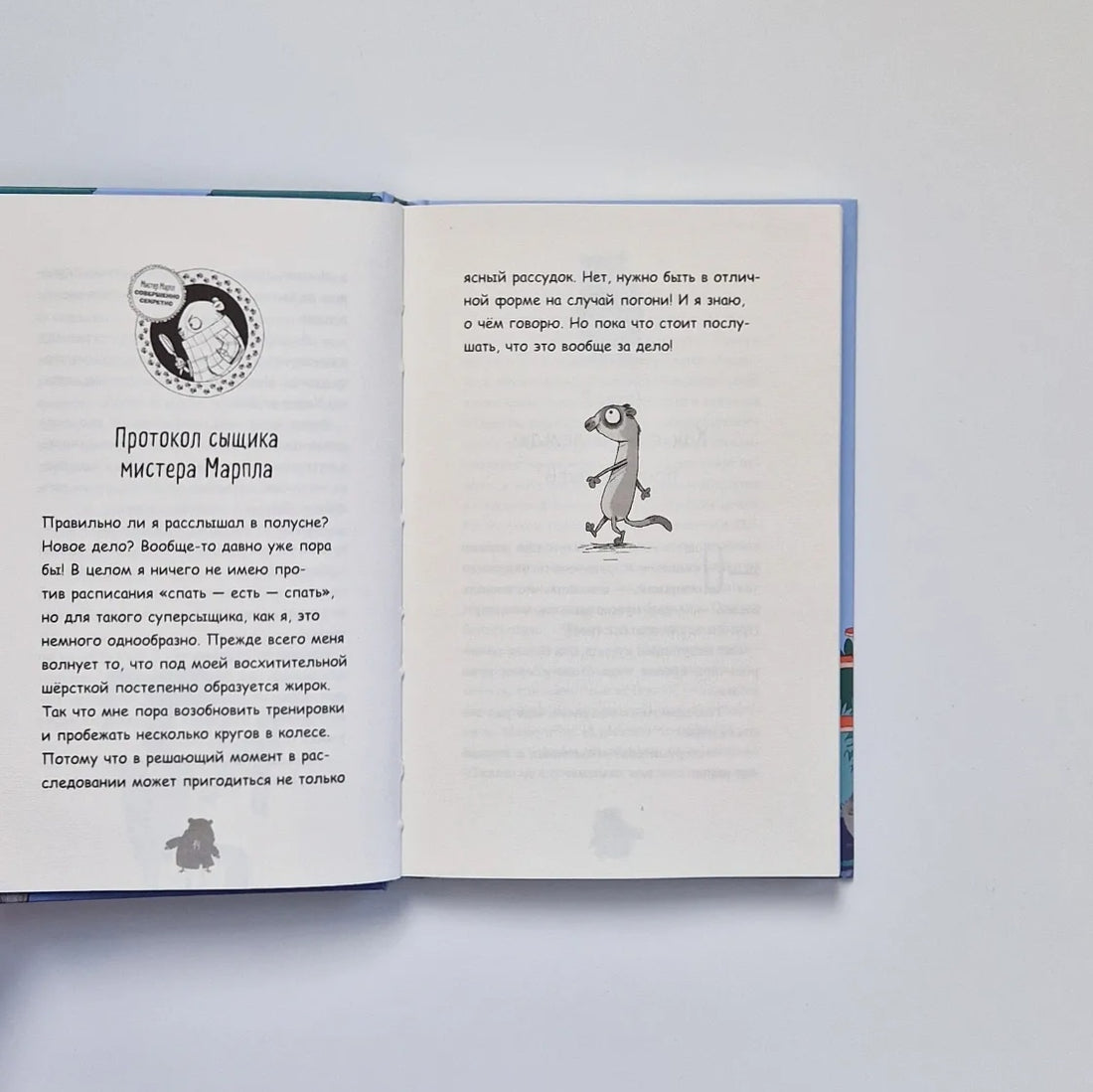 Детективный клуб хомяка-сыщика. Кто похитил сурикатов?