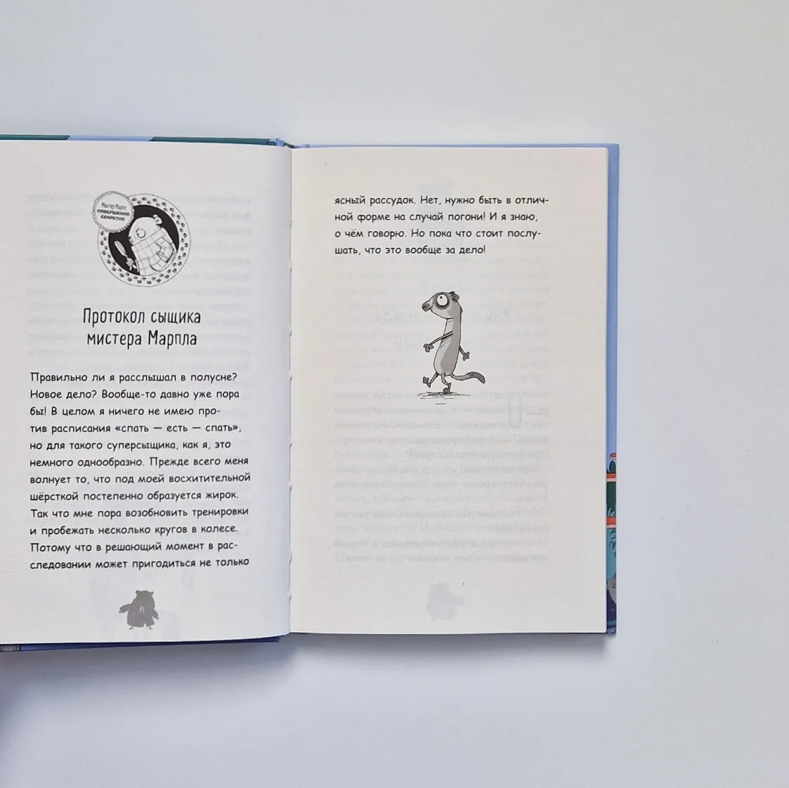 Детективный клуб хомяка-сыщика. Кто похитил сурикатов?