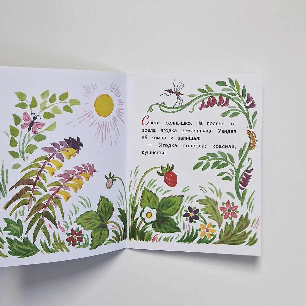 Земляничка