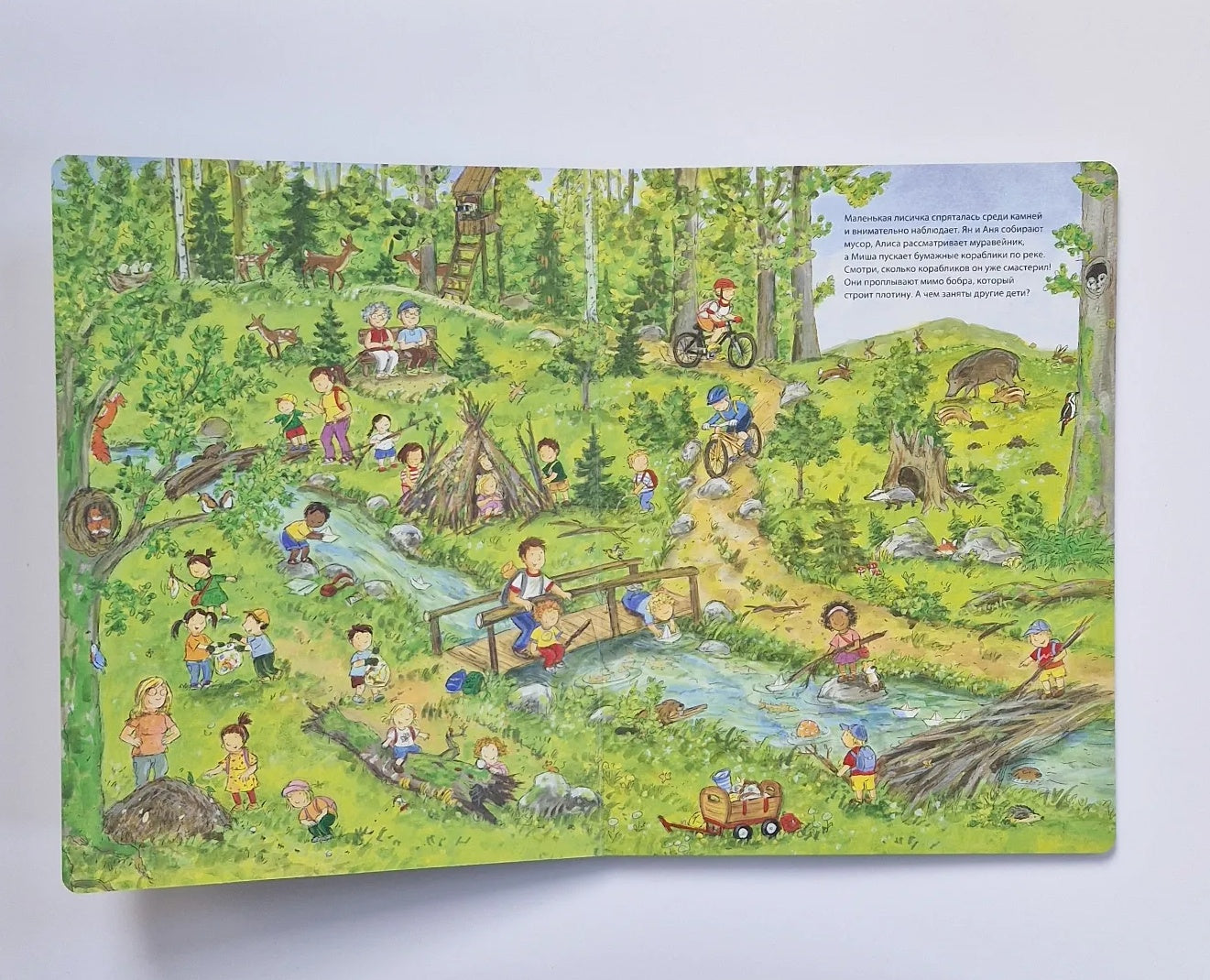 День на природе